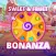 Sweet & Fruit Bonanza