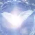 Angel Meditations