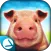 Pig Simulator