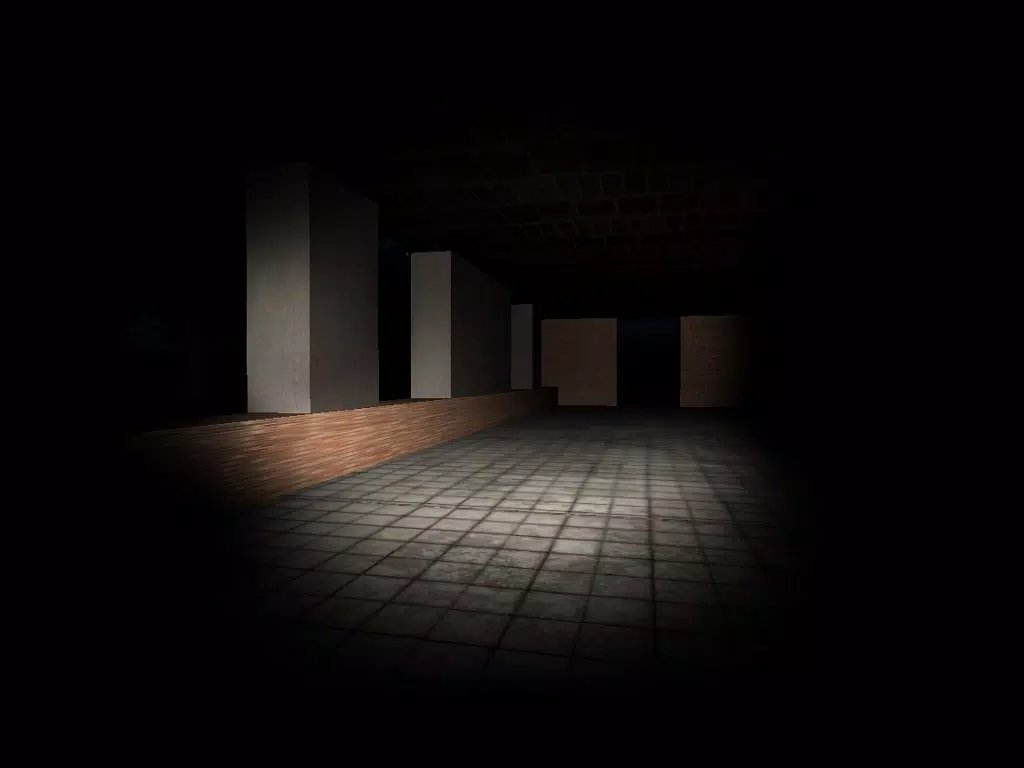 Real Slender Man iPad  স্ক্রিনশট