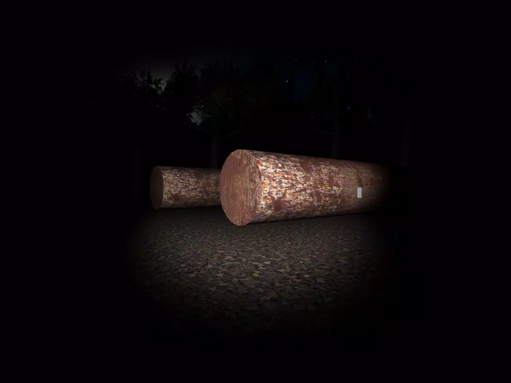 Real Slender Man iPad  স্ক্রিনশট