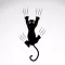 Swing Cat In Village