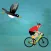 Swoopy Bird