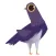 Trash Doves