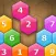 Hexa Puzzle