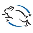 Cruelty Free Shopping Guide