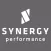 Synergy Perf. Coaching Academy