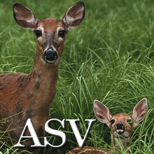 Psalm Daily Quotes ASV Psalm Daily Quotes ASV