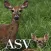 Psalm Daily Quotes ASV