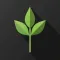 Grow Translate