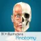 Anatomy - 1K+ Illustrations