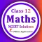 Class 12 Maths Solutions