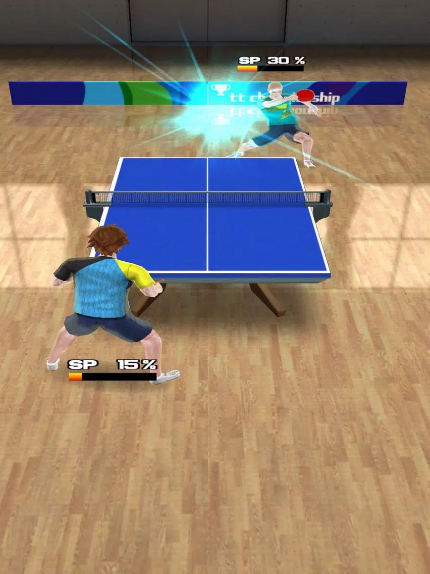PingPong Tour Champion iPad Screenshots