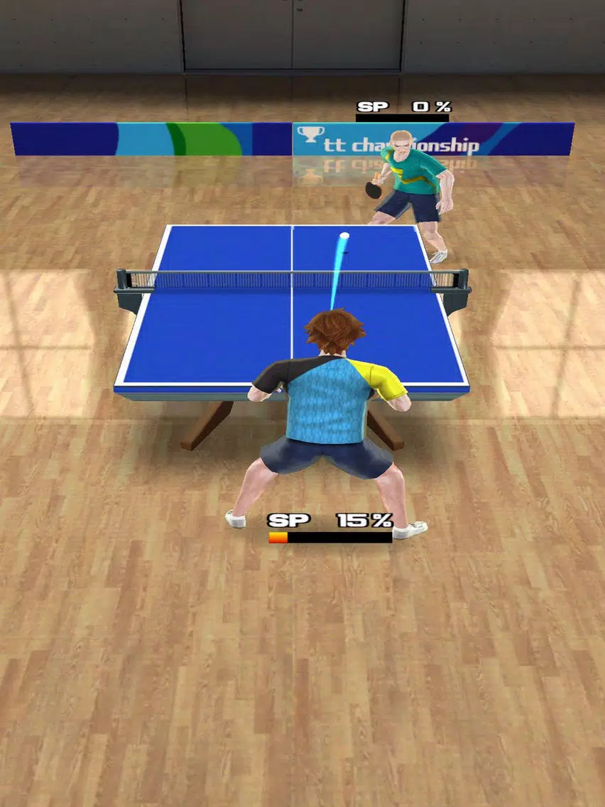 PingPong Tour Champion iPad Screenshots