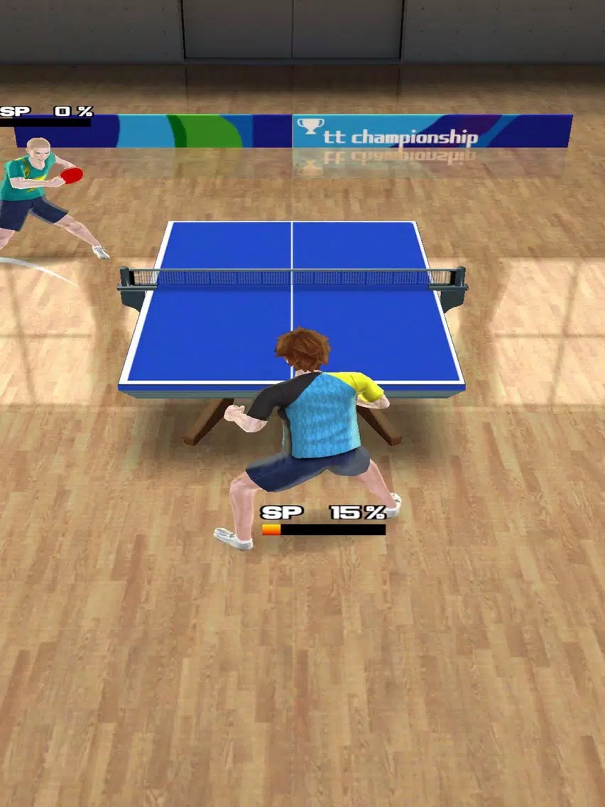 PingPong Tour Champion iPad Screenshots