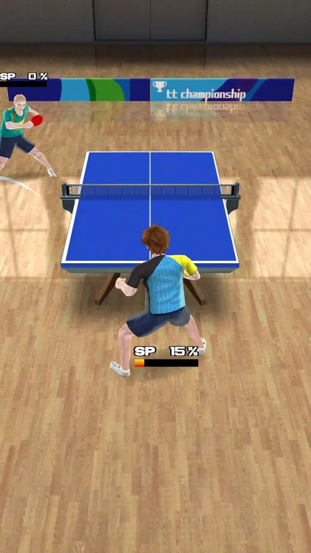 PingPong Tour Champion Screenshots