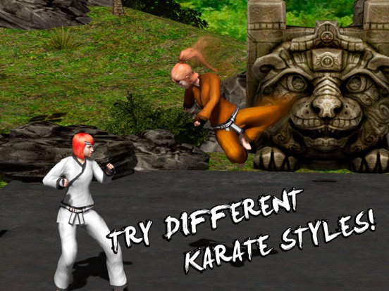 Karate Do Fighting Tiger 3D iPad  Screenshots