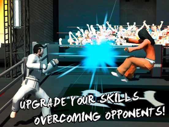 Karate Do Fighting Tiger 3D iPad  Screenshots