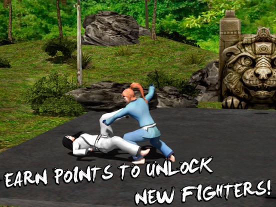 Karate Do Fighting Tiger 3D iPad  Screenshots