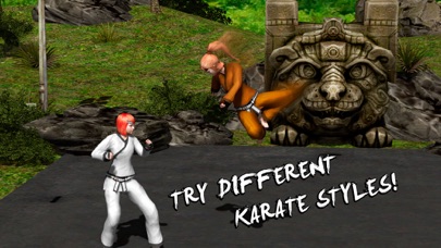 Karate Do Fighting Tiger 3D Screenshots
