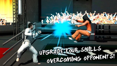 Karate Do Fighting Tiger 3D Screenshots