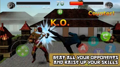 Ninja Revenge: Kung Fu Fighting - 2 स्क्रीनशॉट