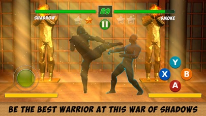 Скриншоты Shadow Kung Fu Fighting 3D - 2