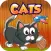 Funny kitten Puzzle for Girl - Pre K Education