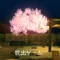 脱出ゲーム 桜舞う露天風呂