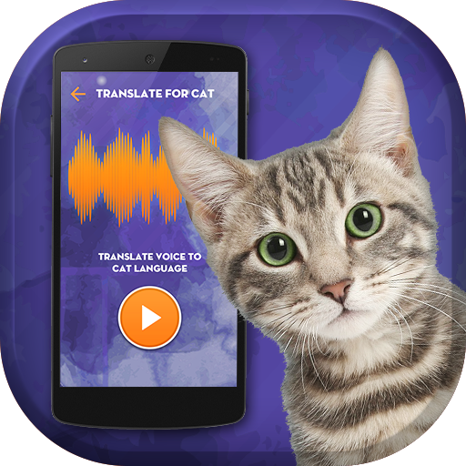 Cat Simulator Translator
