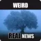 Weird Real News