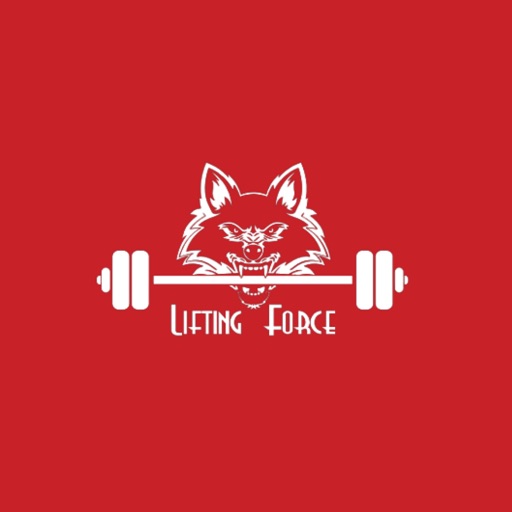 Lifting Force Lifting Force
