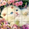 Tile Puzzle Cats