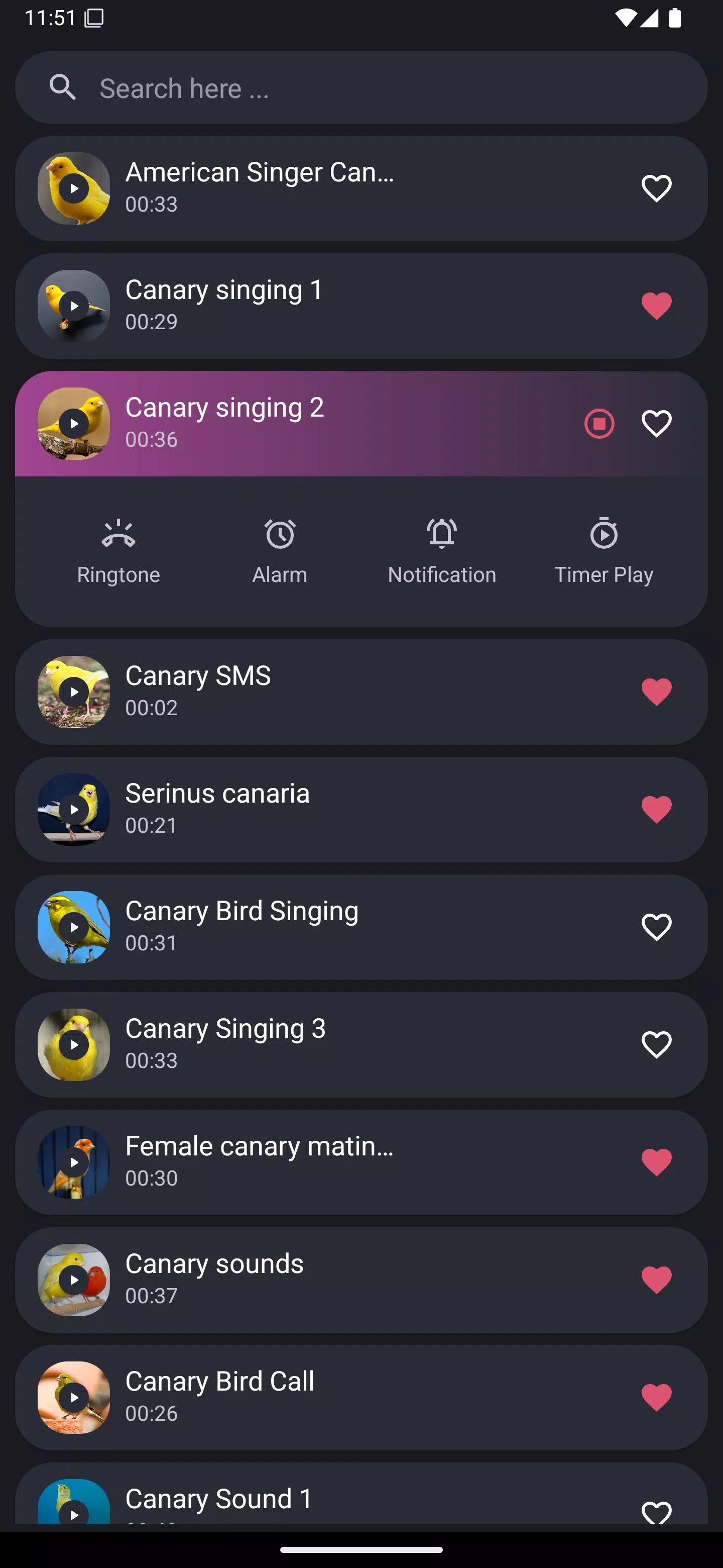 Canary Bird Sounds Screenshots