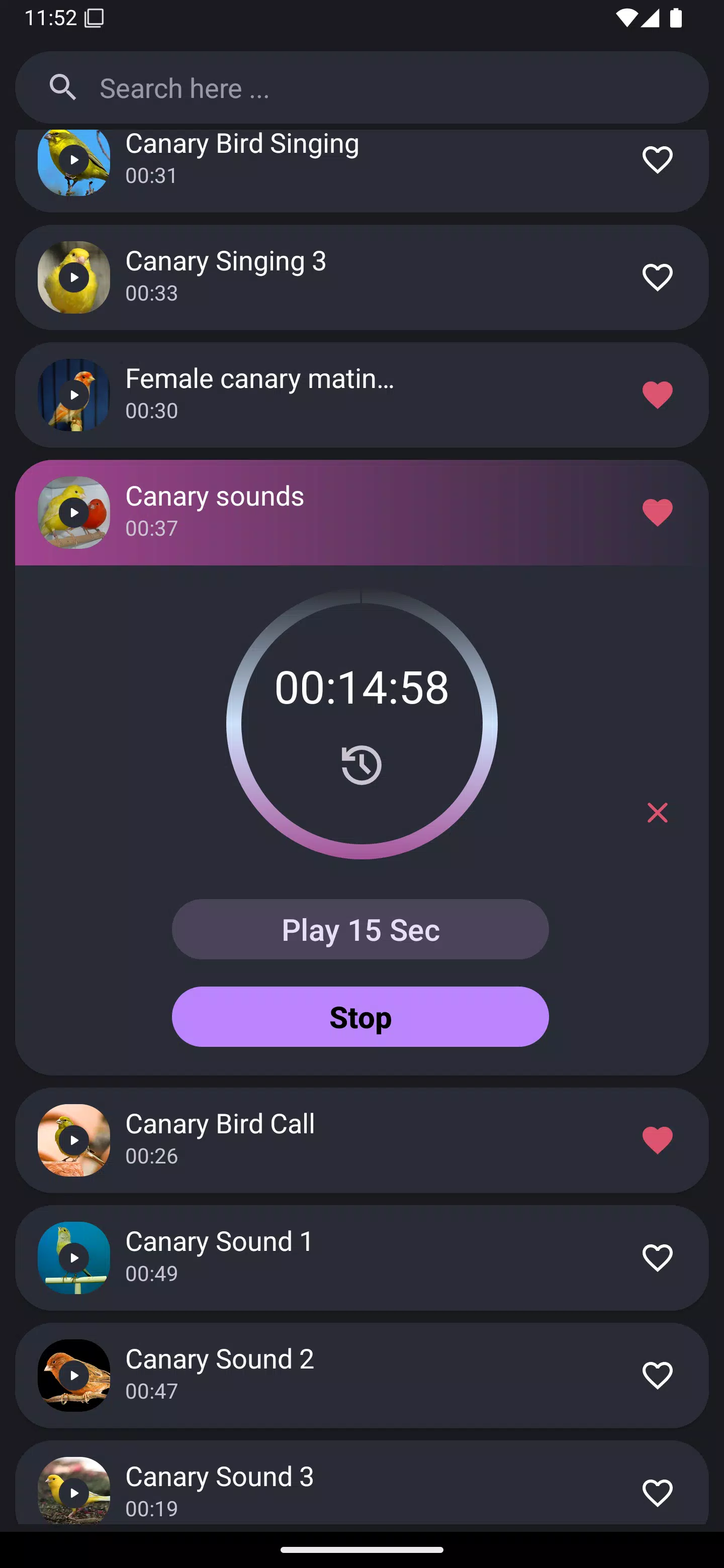 Canary Bird Sounds Screenshots