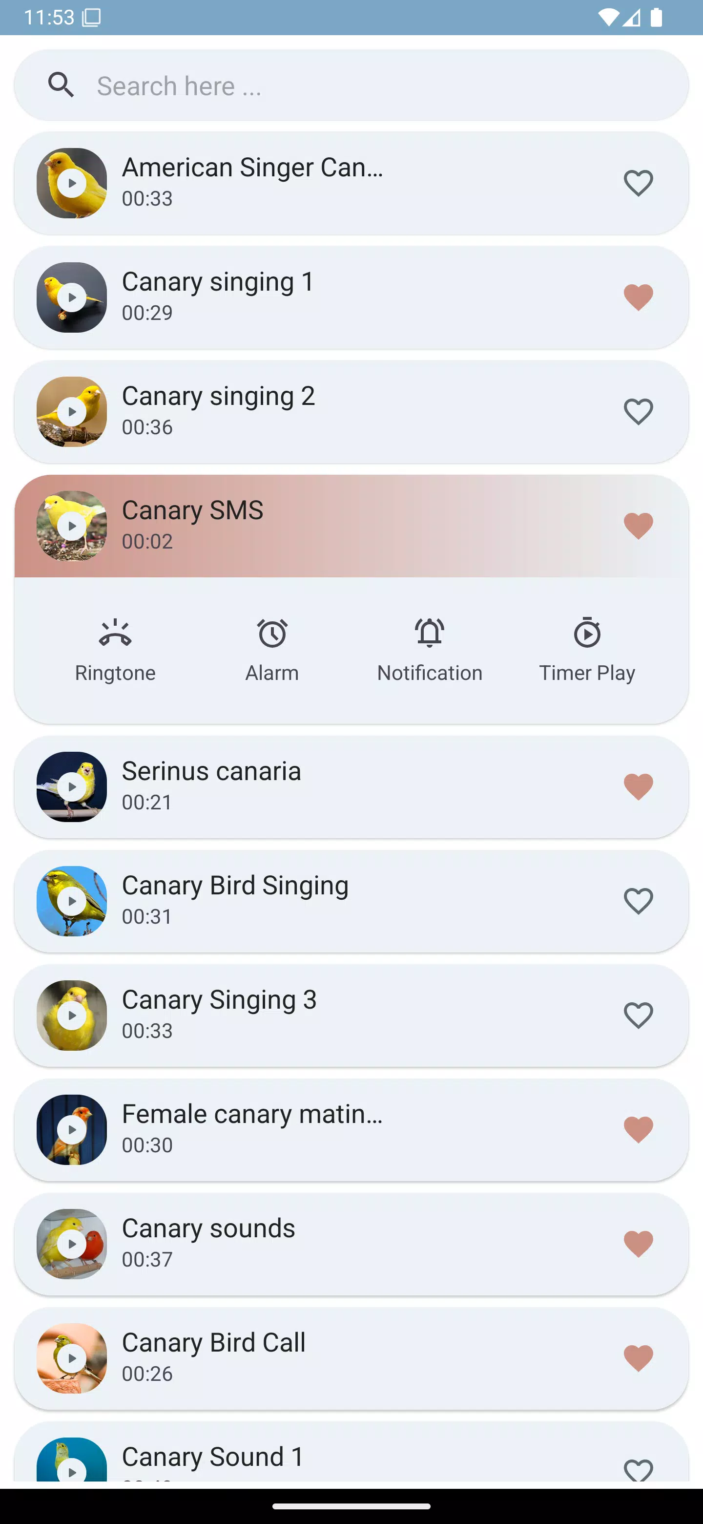 Canary Bird Sounds Screenshots