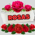 Rosas con frases bonitas Rosas con frases bonitas