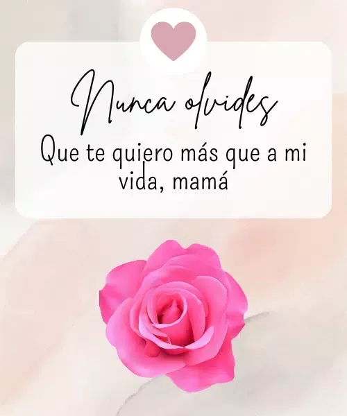 Rosas con frases bonitas Screenshots