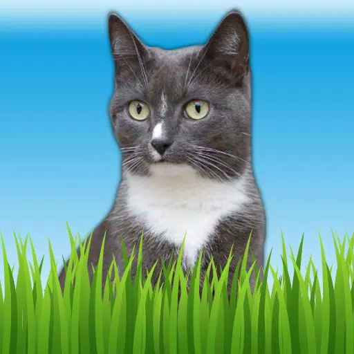 Pet Sounds - Fun Animal Noises for Kids Pet Sounds - Fun Animal Noises for Kids