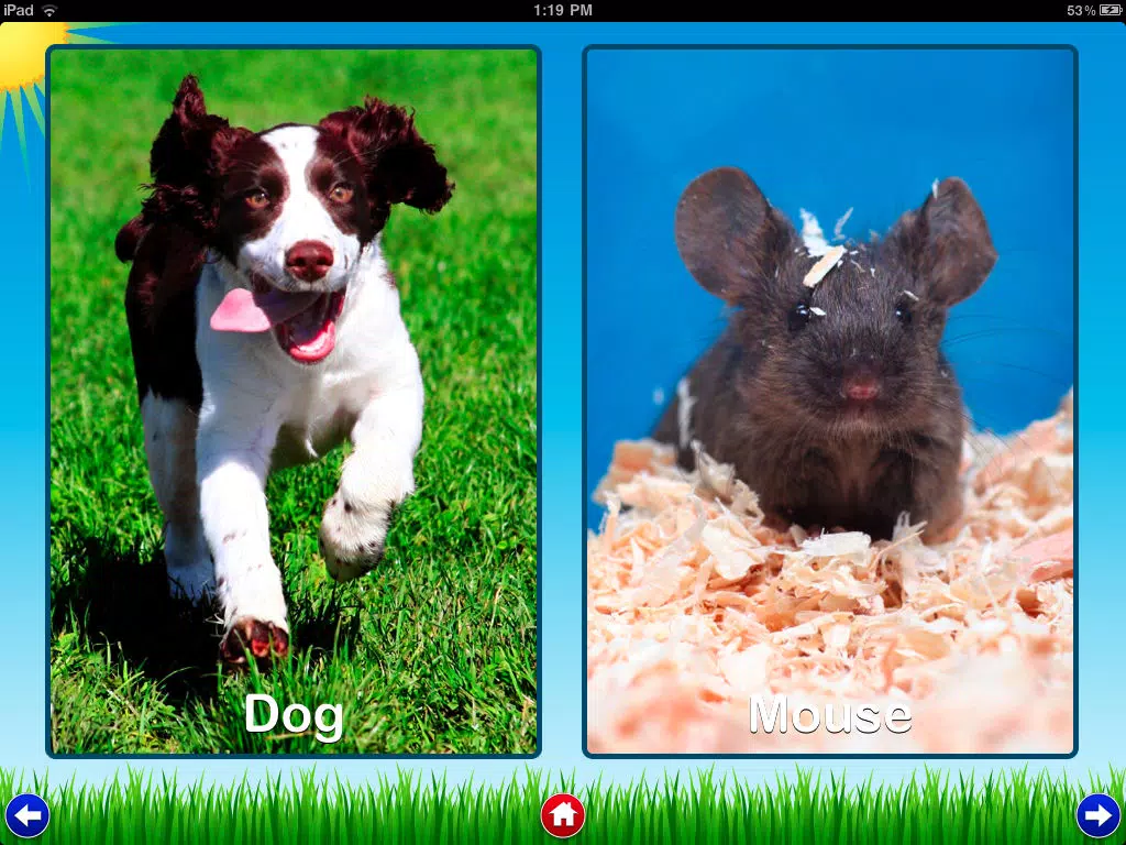 Pet Sounds - Fun Animal Noises for Kids iPad Screenshots