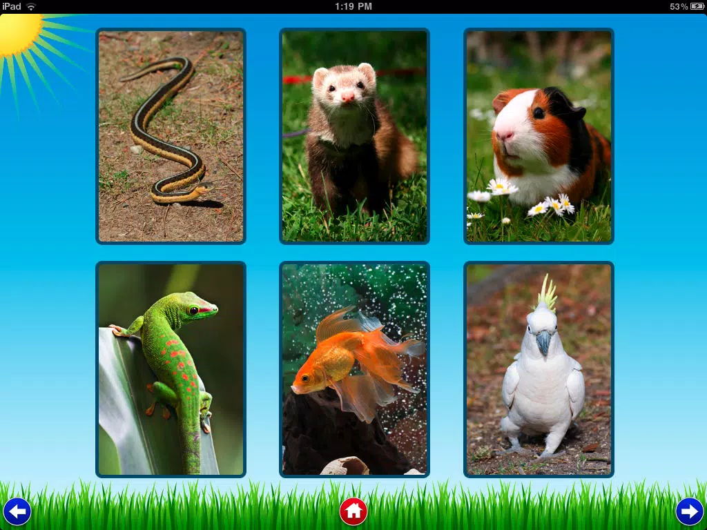 Pet Sounds - Fun Animal Noises for Kids iPad Screenshots