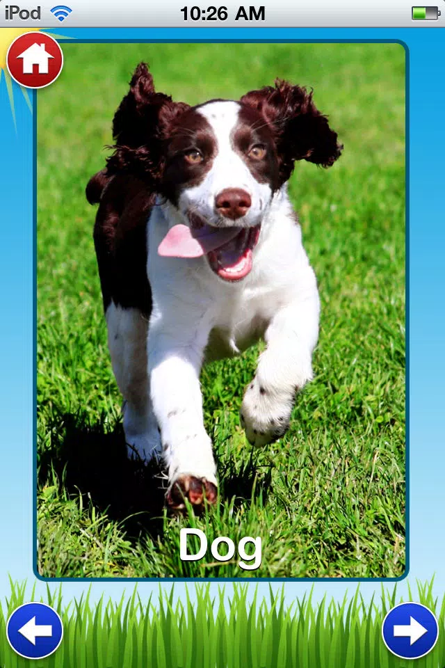 Pet Sounds - Fun Animal Noises for Kids Screenshots