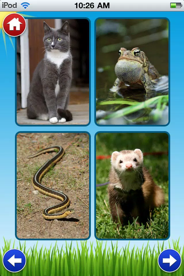Pet Sounds - Fun Animal Noises for Kids Screenshots