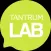 Tantrum Lab VR Helmet
