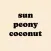 Sun Peony Coconut