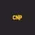 CNP Professional