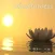Mindfulness Frases y Audios