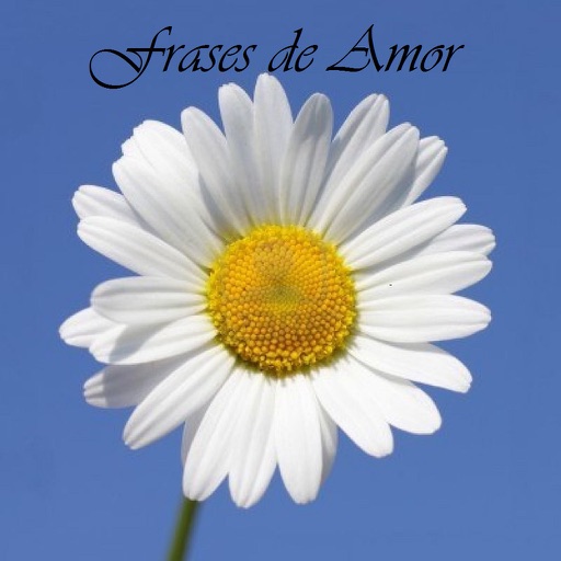 Frases y Consejos de Amor Frases y Consejos de Amor