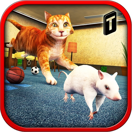Angry Cat Vs. Mouse 2016 Angry Cat Vs. Mouse 2016