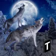 Angry Wolf Simulator 3D Angry Wolf Simulator 3D
